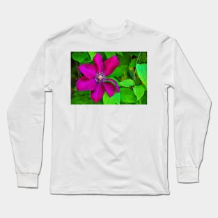 Brilliant Clematis Long Sleeve T-Shirt